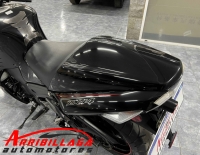 Kawasaki Ninja ZX-14 2011 Necochea