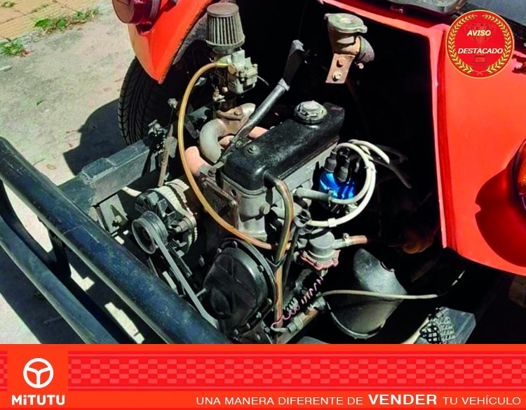 Buggy Puelche Serie 1