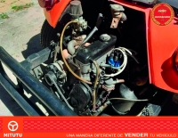 Buggy Puelche Serie 1
