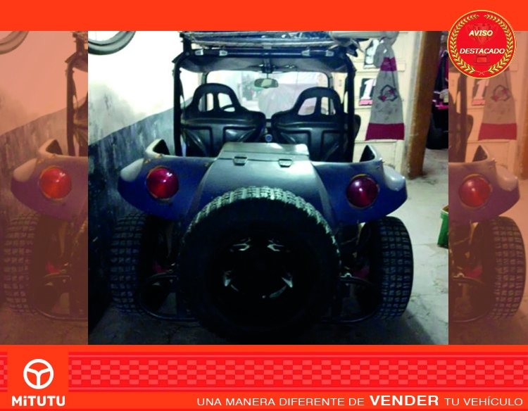 Buggy Puelche