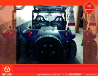 Buggy Puelche