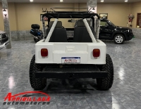 Jeep C/GNC 4X2 Fibra Motor 221 Necochea