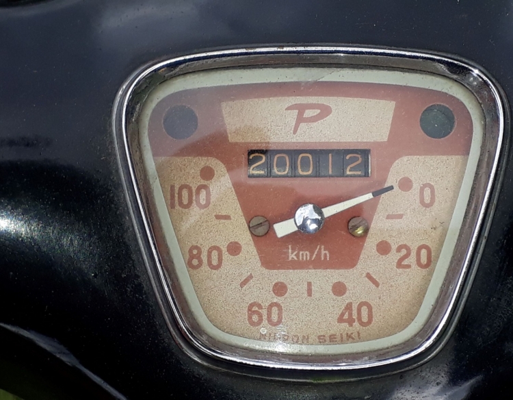 POINTER 1961 JAPONESA UNICA DE DAMA TITULAR