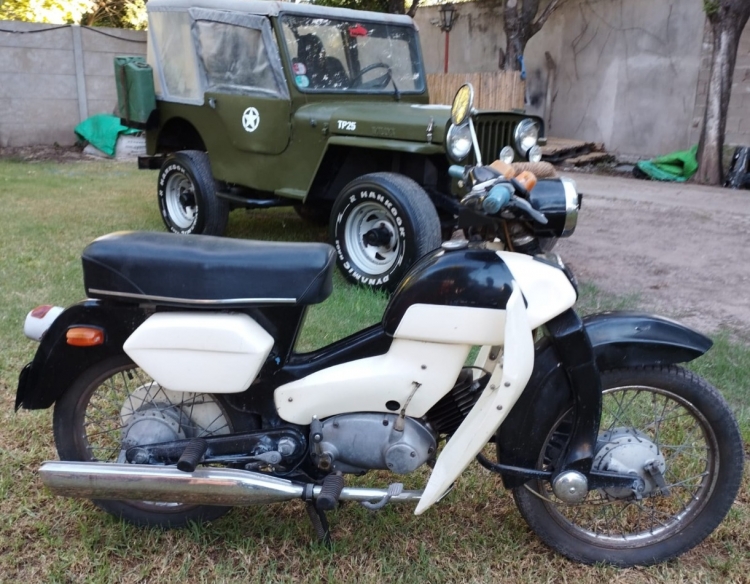 POINTER 1961 JAPONESA UNICA DE DAMA TITULAR