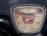 POINTER 1961 JAPONESA UNICA DE DAMA TITULAR
