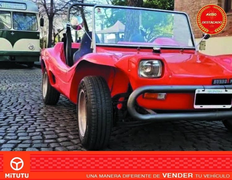 Buggy Burro