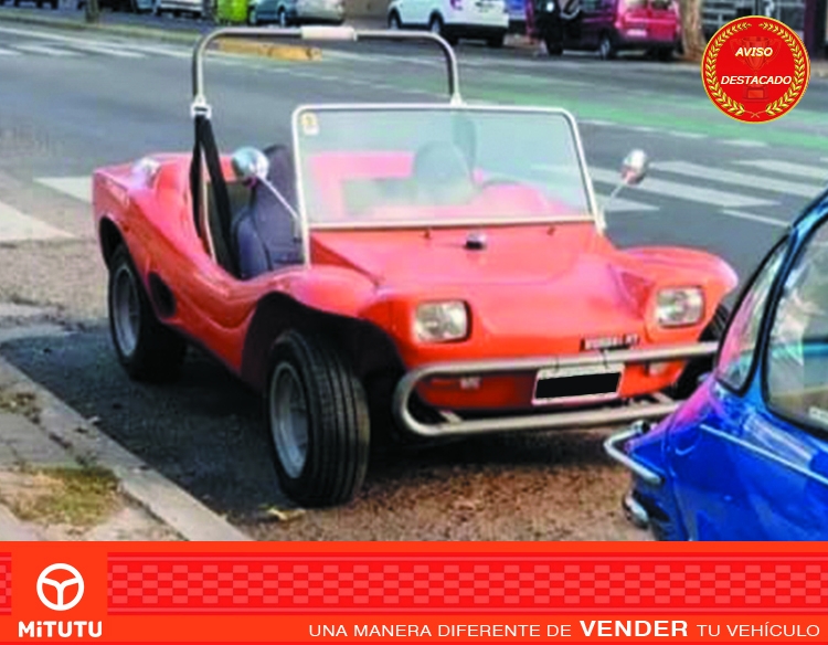 Buggy Burro