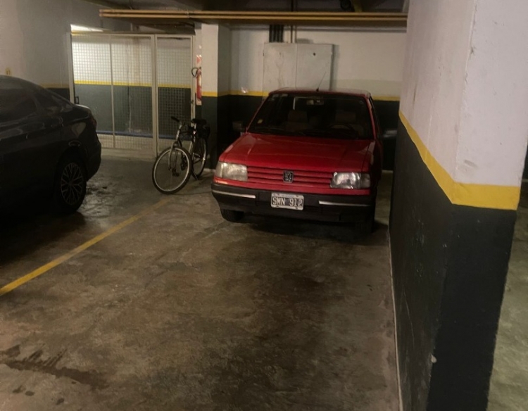 Único Peugeot 309, inmaculado, todo original