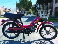 Da Dalt 50