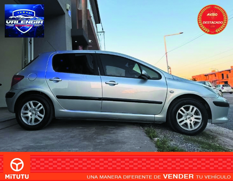 Peugeot 307 1.6 XS