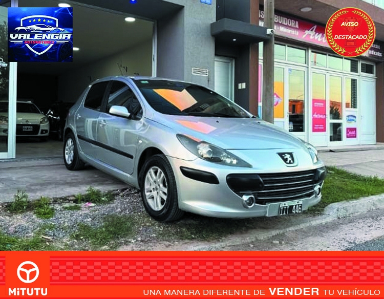 Peugeot 307 1.6 XS