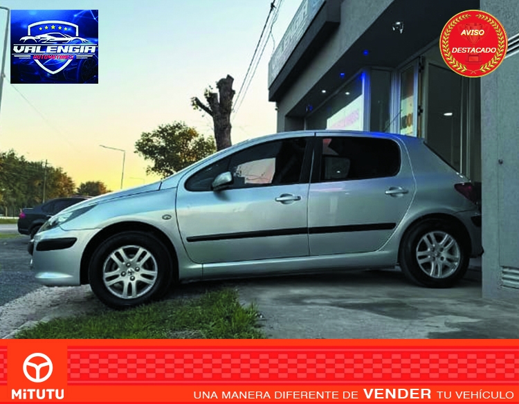 Peugeot 307 1.6 XS