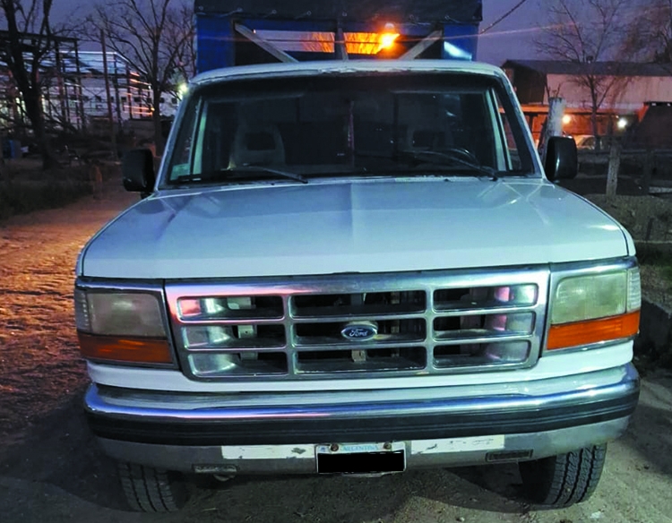 Ford F100