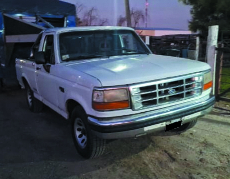Ford F100