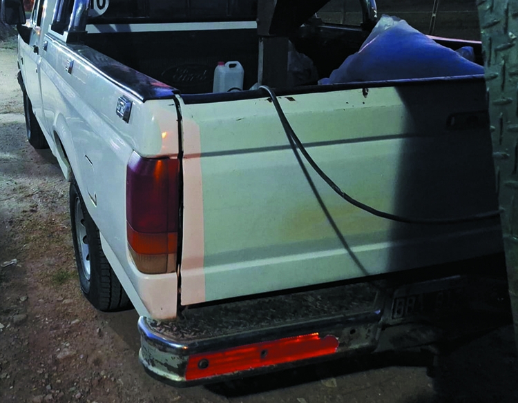 Ford F100